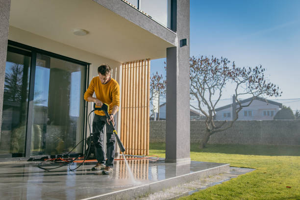 Best Gutter Cleaning  in Edneyville, NC