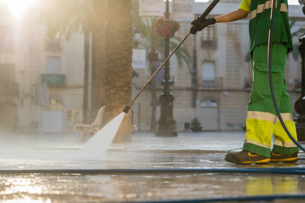 Best Sidewalk and Walkway Cleaning  in Edneyville, NC